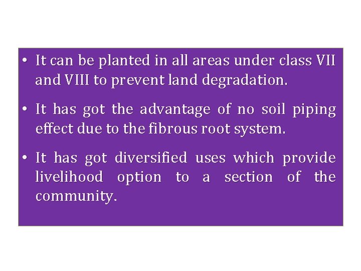  • It can be planted in all areas under class VII and VIII
