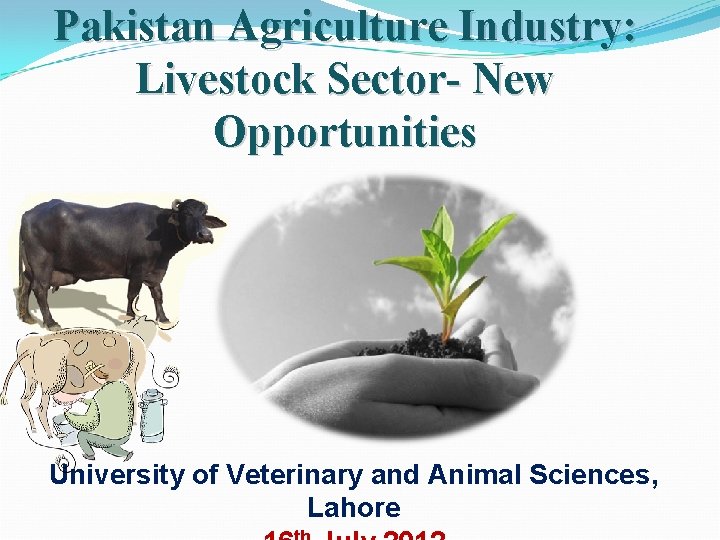 Pakistan Agriculture Industry: Livestock Sector- New Opportunities University of Veterinary and Animal Sciences, Lahore