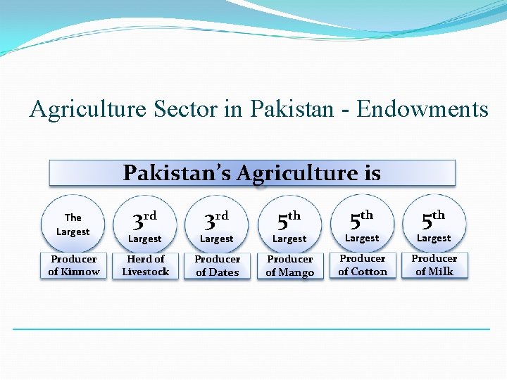 Agriculture Sector in Pakistan - Endowments Pakistan’s Agriculture is The Largest Producer of Kinnow