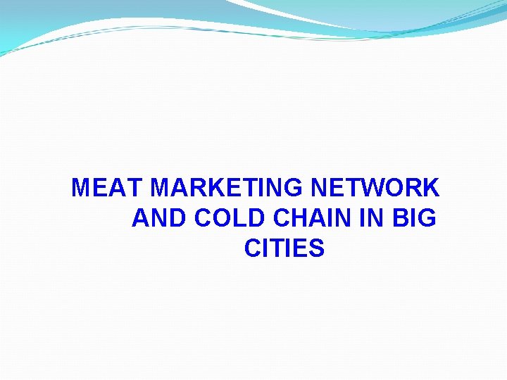 MEAT MARKETING NETWORK AND COLD CHAIN IN BIG CITIES 