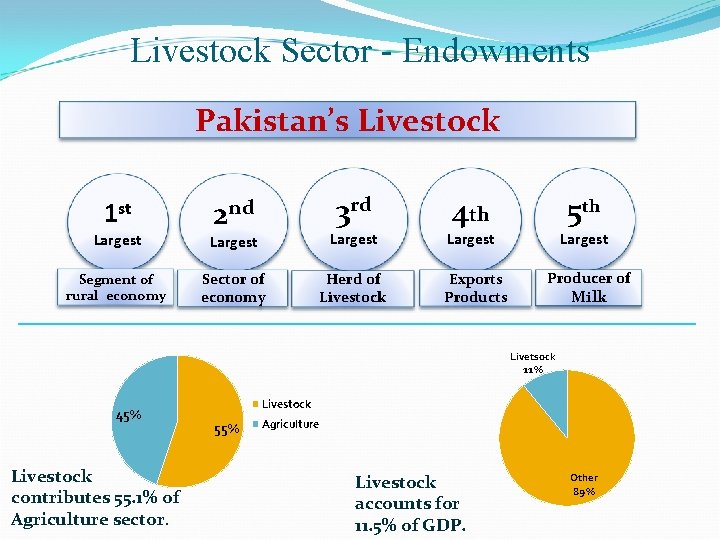 Livestock Sector - Endowments Pakistan’s Livestock 1 st 3 rd 2 nd Largest Segment