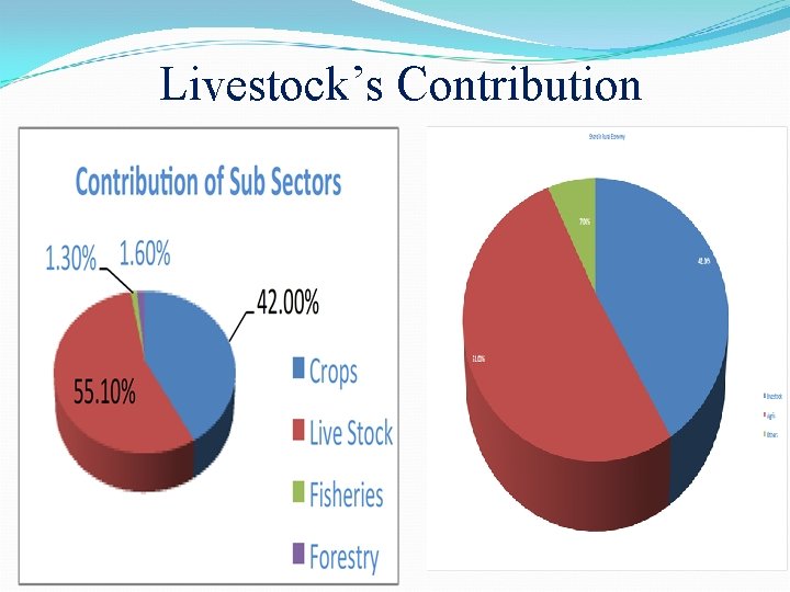 Livestock’s Contribution 