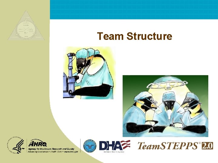 Team Structure NEXT: 
