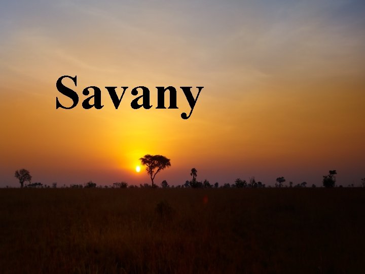 Savany 