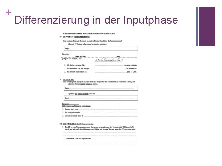 + Differenzierung in der Inputphase 