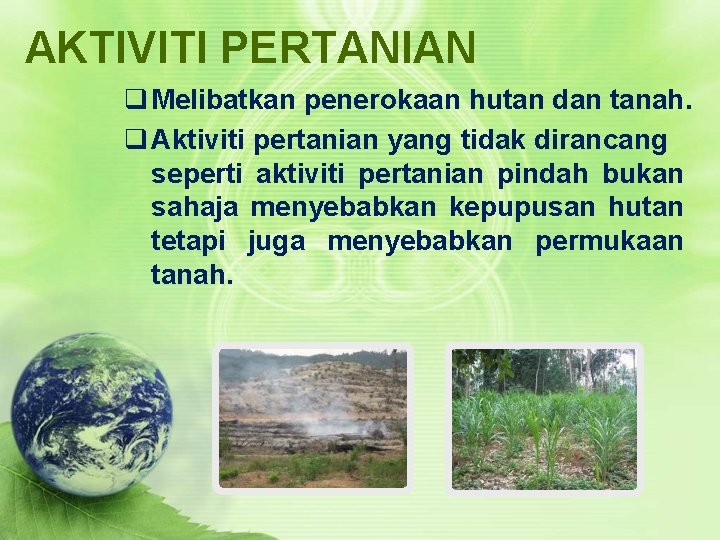 AKTIVITI PERTANIAN q Melibatkan penerokaan hutan dan tanah. q Aktiviti pertanian yang tidak dirancang