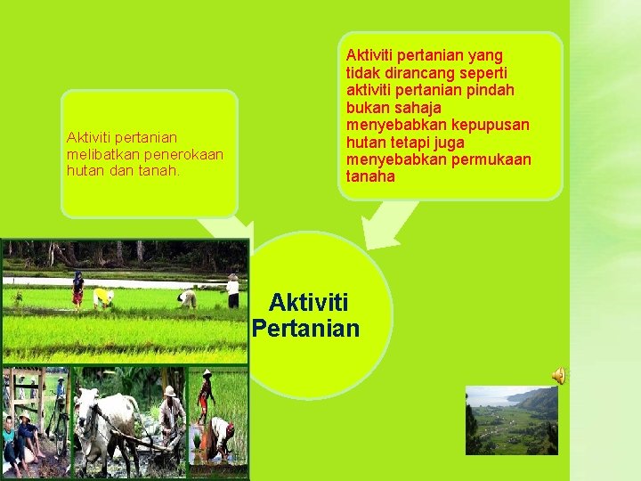 Aktiviti pertanian melibatkan penerokaan hutan dan tanah. Aktiviti pertanian yang tidak dirancang seperti aktiviti