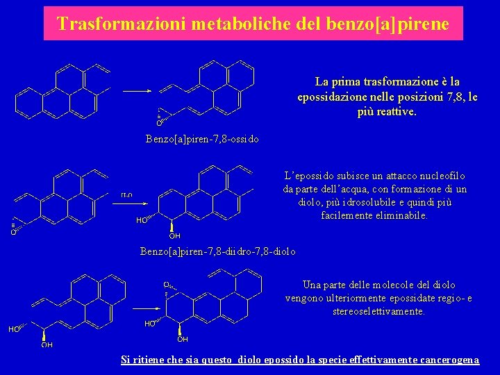 Trasformazioni metaboliche del benzo[a]pirene La prima trasformazione è la epossidazione nelle posizioni 7, 8,