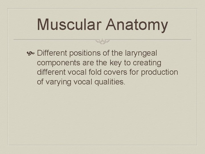 Muscular Anatomy Different positions of the laryngeal components are the key to creating different