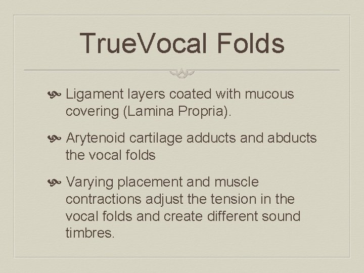True. Vocal Folds Ligament layers coated with mucous covering (Lamina Propria). Arytenoid cartilage adducts