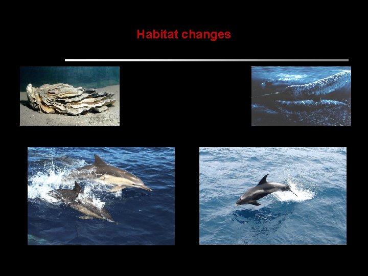Habitat changes 