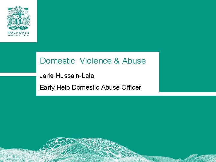 Domestic Violence & Abuse Jaria Hussain-Lala Early Help Domestic Abuse Officer 