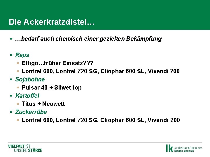 Die Ackerkratzdistel… § …bedarf auch chemisch einer gezielten Bekämpfung § Raps § Effigo…früher Einsatz?