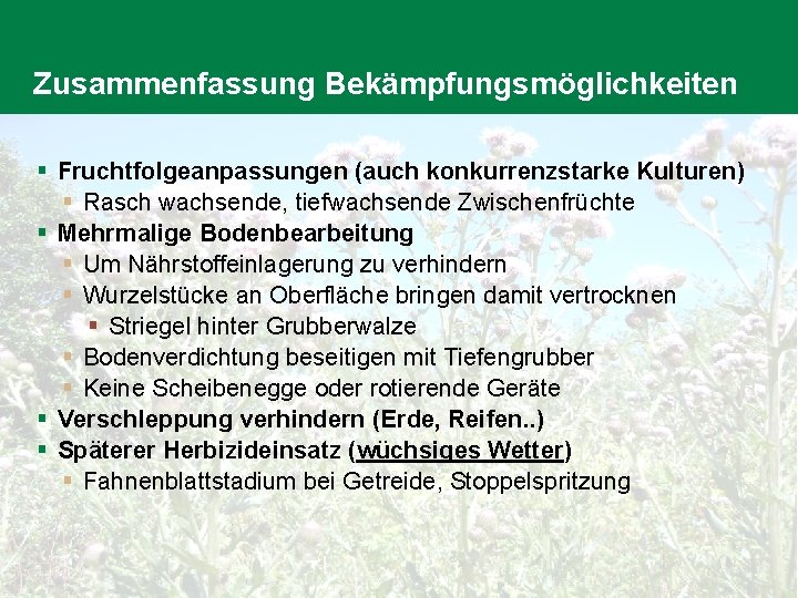 Zusammenfassung Bekämpfungsmöglichkeiten § Fruchtfolgeanpassungen (auch konkurrenzstarke Kulturen) § Rasch wachsende, tiefwachsende Zwischenfrüchte § Mehrmalige