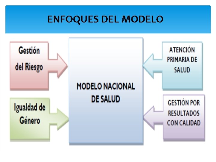 ENFOQUES DEL MODELO 