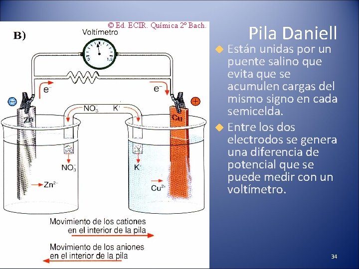 © Ed. ECIR. Química 2º Bach. Pila Daniell Están unidas por un puente salino