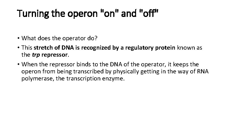 Turning the operon "on" and "off" • What does the operator do? • This