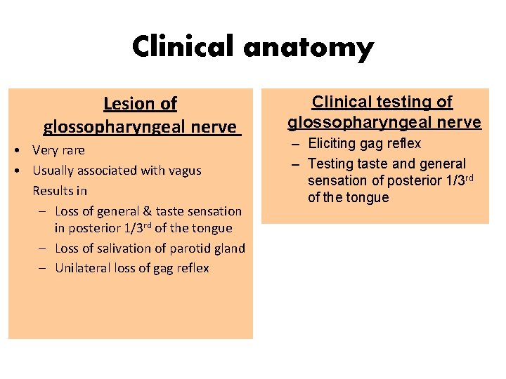 Clinical anatomy Lesion of glossopharyngeal nerve • Very rare • Usually associated with vagus