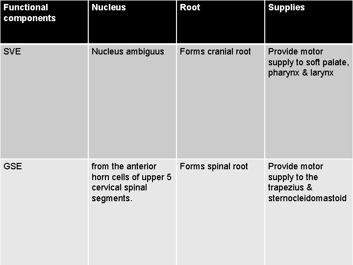 Functional components Nucleus Root Supplies SVE Nucleus ambiguus Forms cranial root Provide motor supply