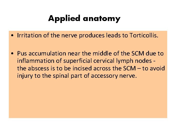 Applied anatomy • Irritation of the nerve produces leads to Torticollis. • Pus accumulation