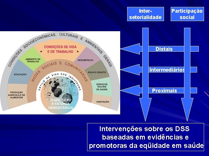 Intersetorialidade Participação social Distais Intermediários Proximais Intervenções sobre os DSS baseadas em evidências e