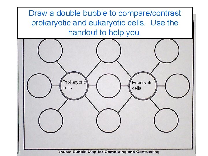 Draw a double bubble to compare/contrast prokaryotic and eukaryotic cells. Use the handout to