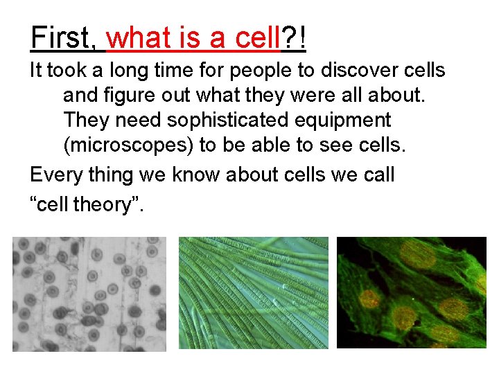 First, what is a cell? ! It took a long time for people to