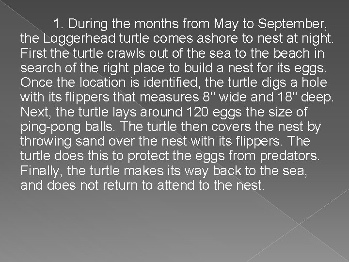 1. During the months from May to September, the Loggerhead turtle comes ashore to