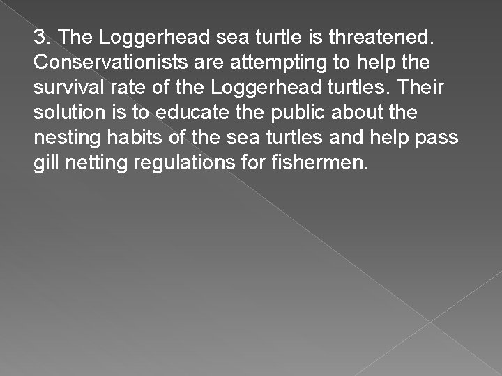3. The Loggerhead sea turtle is threatened. Conservationists are attempting to help the survival