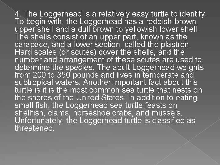 4. The Loggerhead is a relatively easy turtle to identify. To begin with, the