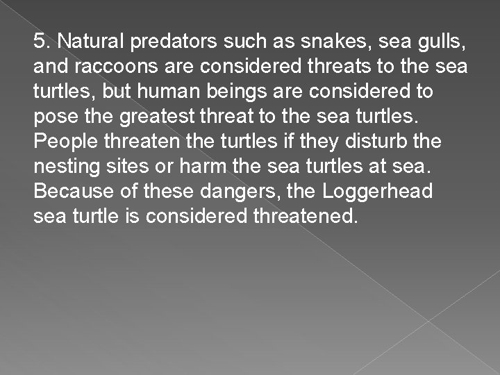 5. Natural predators such as snakes, sea gulls, and raccoons are considered threats to