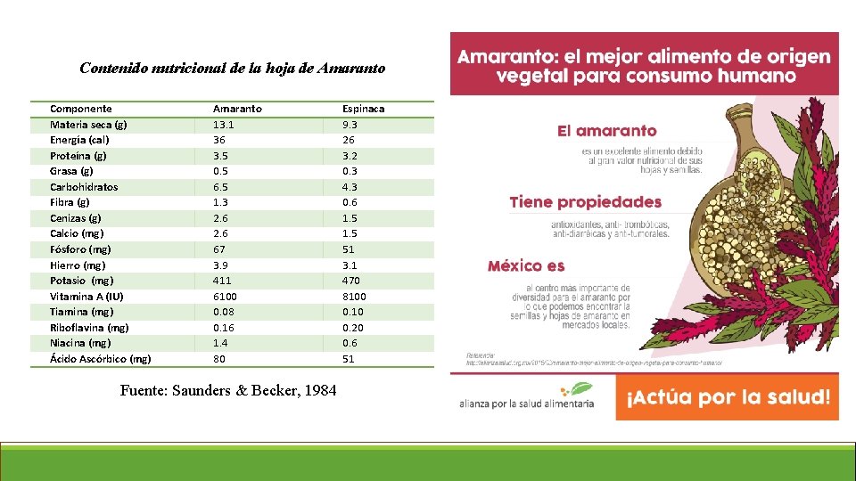 Contenido nutricional de la hoja de Amaranto Componente Materia seca (g) Energía (cal) Proteína