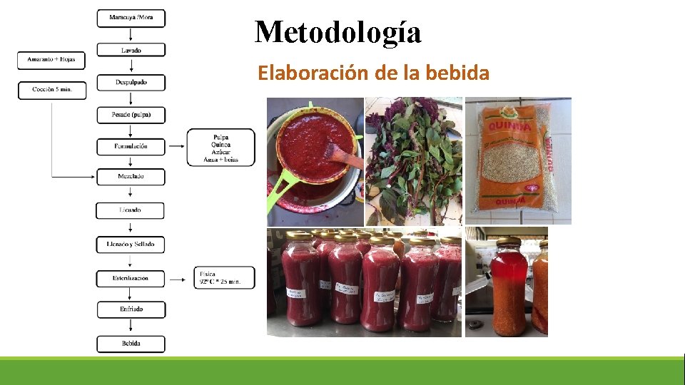 Metodología Elaboración de la bebida 