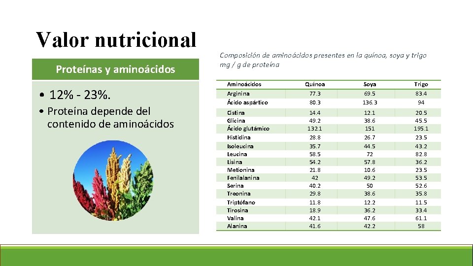 Valor nutricional Proteínas y aminoácidos • 12% - 23%. • Proteína depende del contenido