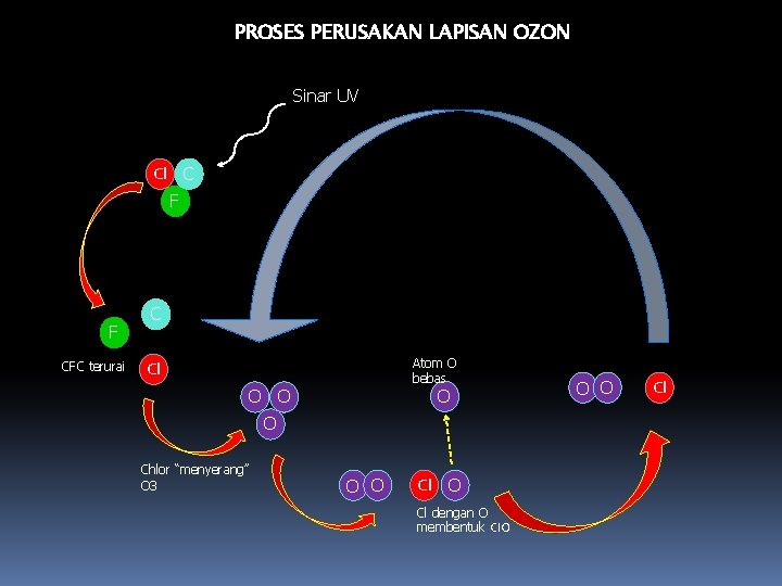 PROSES PERUSAKAN LAPISAN OZON Sinar UV Cl C F F CFC terurai C Atom PROSES PERUSAKAN LAPISAN OZON Sinar UV Cl C F F CFC terurai C Atom