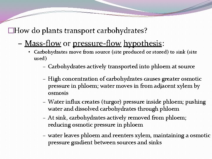 �How do plants transport carbohydrates? – Mass-flow or pressure-flow hypothesis: • Carbohydrates move from �How do plants transport carbohydrates? – Mass-flow or pressure-flow hypothesis: • Carbohydrates move from