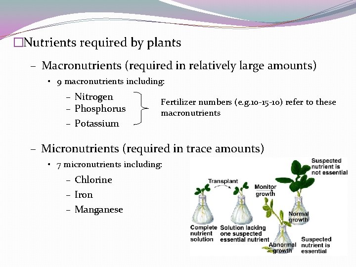 �Nutrients required by plants – Macronutrients (required in relatively large amounts) • 9 macronutrients �Nutrients required by plants – Macronutrients (required in relatively large amounts) • 9 macronutrients