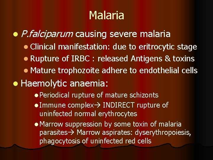 Malaria l P. falciparum causing severe malaria l Clinical manifestation: due to eritrocytic stage