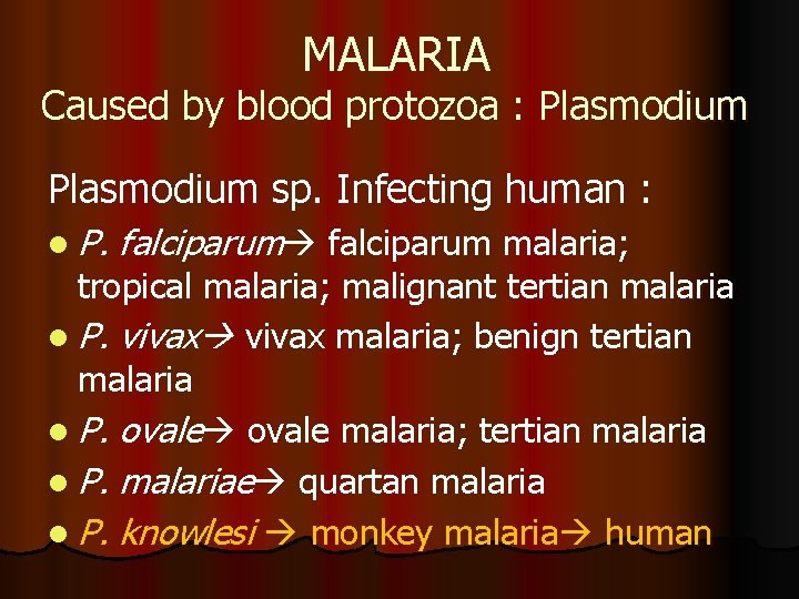 MALARIA Caused by blood protozoa : Plasmodium sp. Infecting human : l P. falciparum