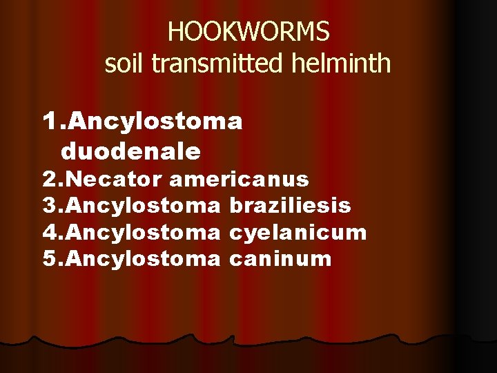 HOOKWORMS soil transmitted helminth 1. Ancylostoma duodenale 2. Necator americanus 3. Ancylostoma braziliesis 4.