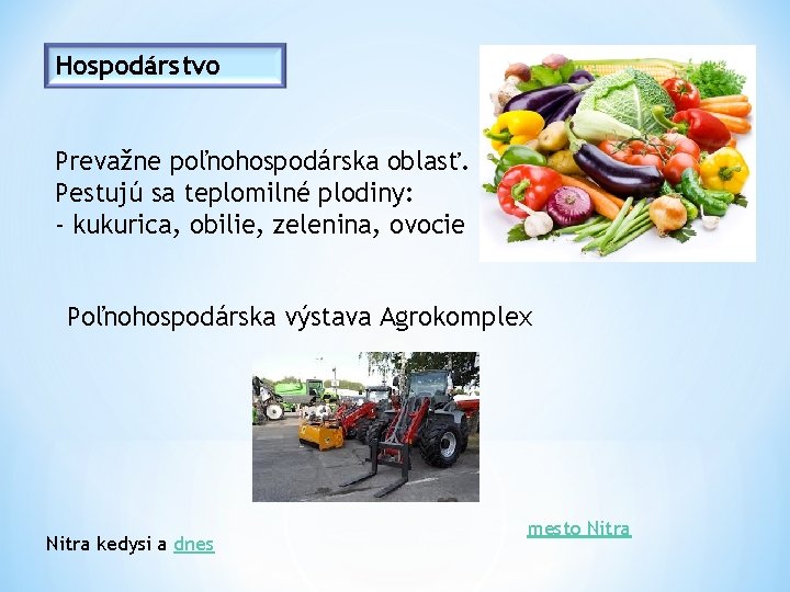 Hospodárstvo Prevažne poľnohospodárska oblasť. Pestujú sa teplomilné plodiny: - kukurica, obilie, zelenina, ovocie Poľnohospodárska