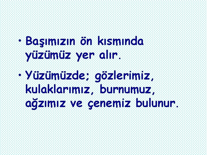  • Başımızın ön kısmında yüzümüz yer alır. • Yüzümüzde; gözlerimiz, kulaklarımız, burnumuz, ağzımız