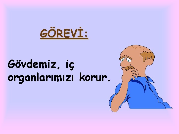 GÖREVİ: Gövdemiz, iç organlarımızı korur. 