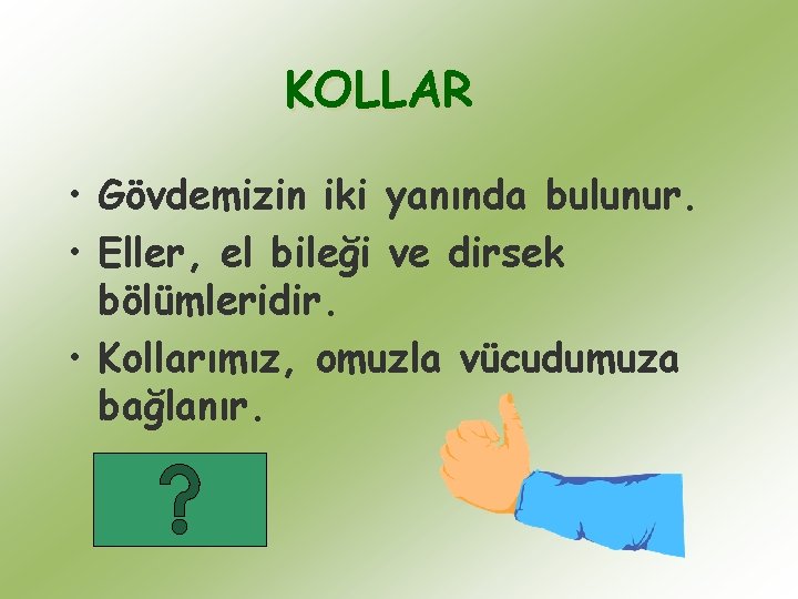 KOLLAR • Gövdemizin iki yanında bulunur. • Eller, el bileği ve dirsek bölümleridir. • KOLLAR • Gövdemizin iki yanında bulunur. • Eller, el bileği ve dirsek bölümleridir. •