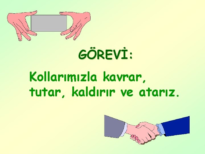 GÖREVİ: Kollarımızla kavrar, tutar, kaldırır ve atarız. 