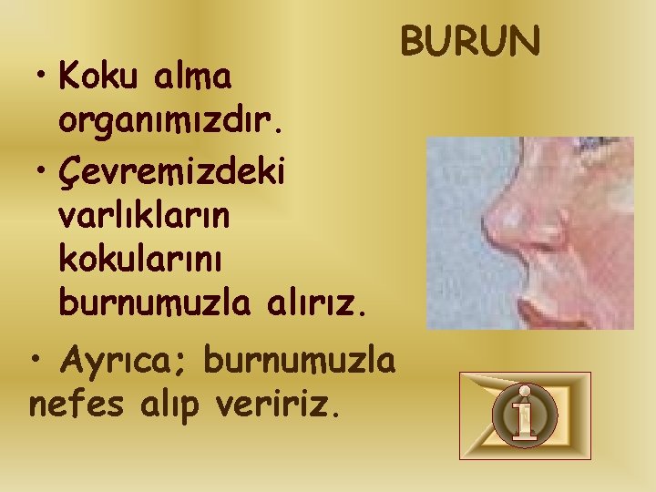• Koku alma organımızdır. • Çevremizdeki varlıkların kokularını burnumuzla alırız. • Ayrıca; burnumuzla • Koku alma organımızdır. • Çevremizdeki varlıkların kokularını burnumuzla alırız. • Ayrıca; burnumuzla