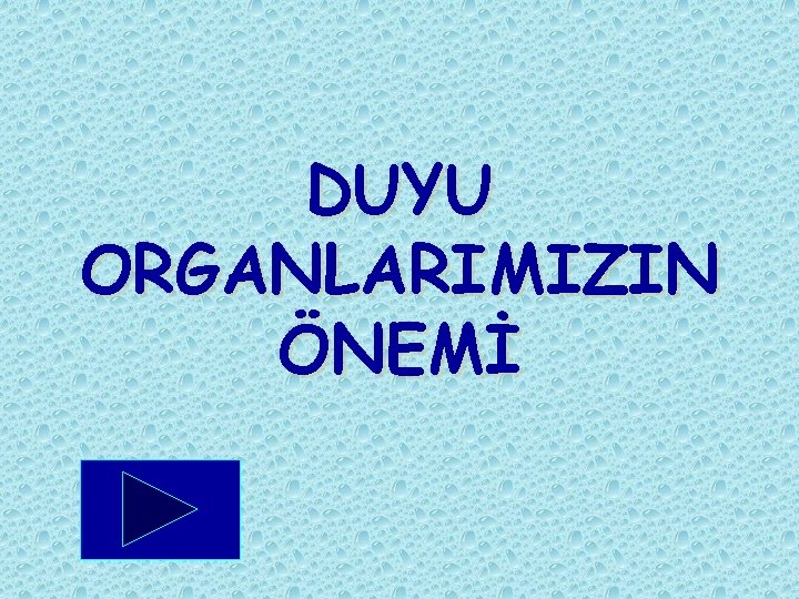 DUYU ORGANLARIMIZIN ÖNEMİ 