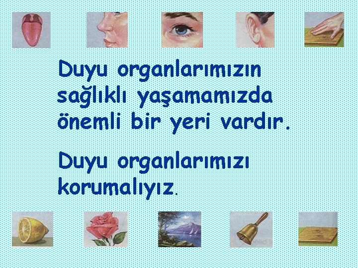 Duyu organlarımızın sağlıklı yaşamamızda önemli bir yeri vardır. Duyu organlarımızı korumalıyız. Duyu organlarımızın sağlıklı yaşamamızda önemli bir yeri vardır. Duyu organlarımızı korumalıyız.