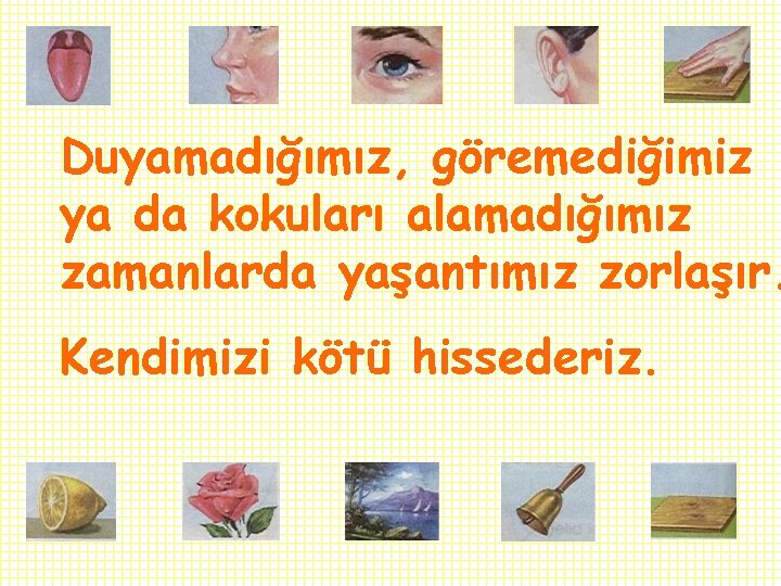 Duyamadığımız, göremediğimiz ya da kokuları alamadığımız zamanlarda yaşantımız zorlaşır. Kendimizi kötü hissederiz. Duyamadığımız, göremediğimiz ya da kokuları alamadığımız zamanlarda yaşantımız zorlaşır. Kendimizi kötü hissederiz.