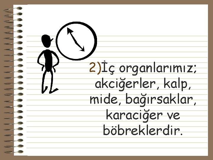 2)İç organlarımız; akciğerler, kalp, mide, bağırsaklar, karaciğer ve böbreklerdir. 